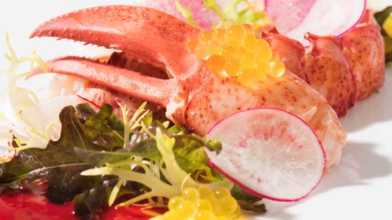 Sassafraz Best Fancy High-End Restaurants in Toronto