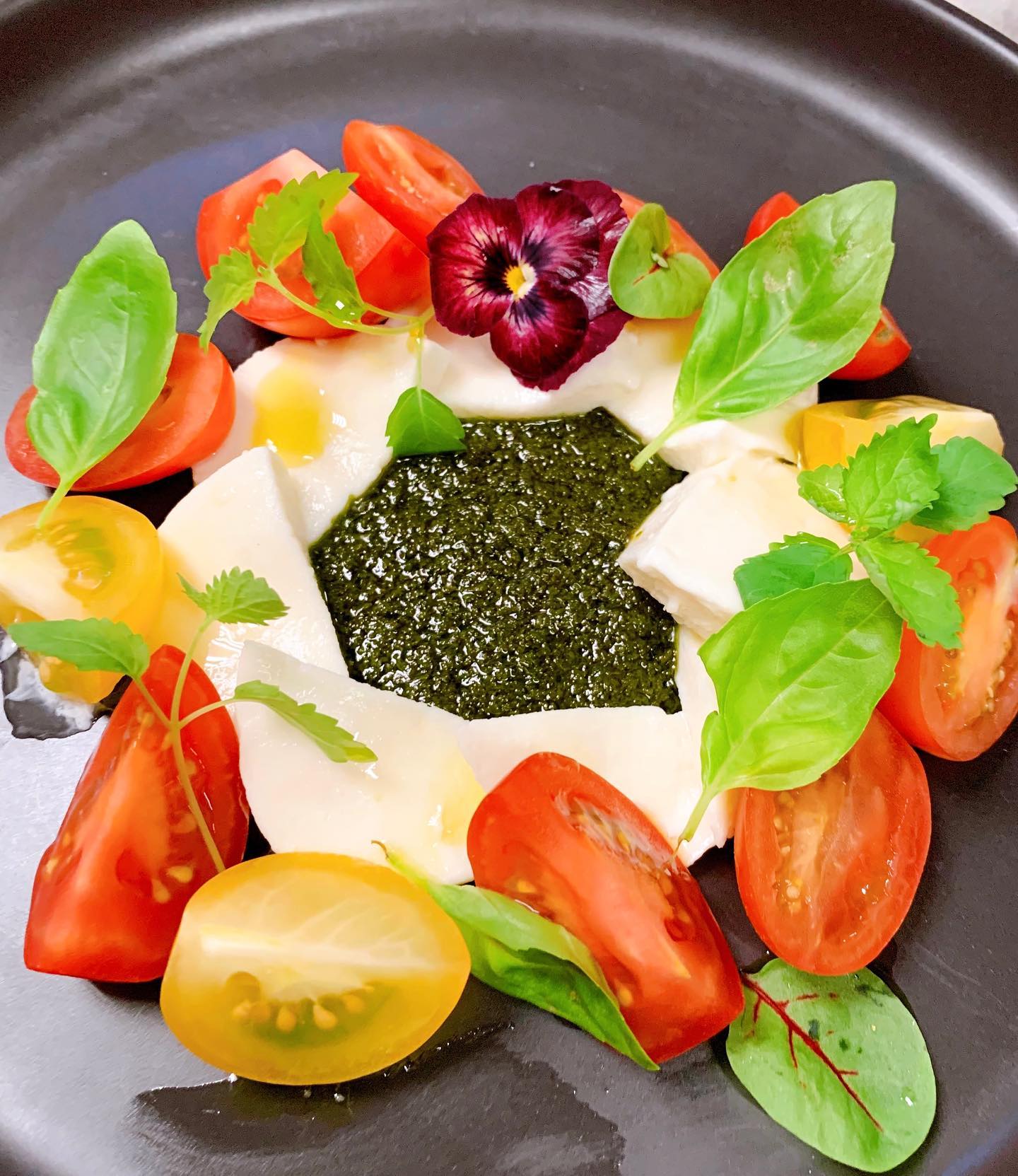 Best Fine Dining Restaurants in North York