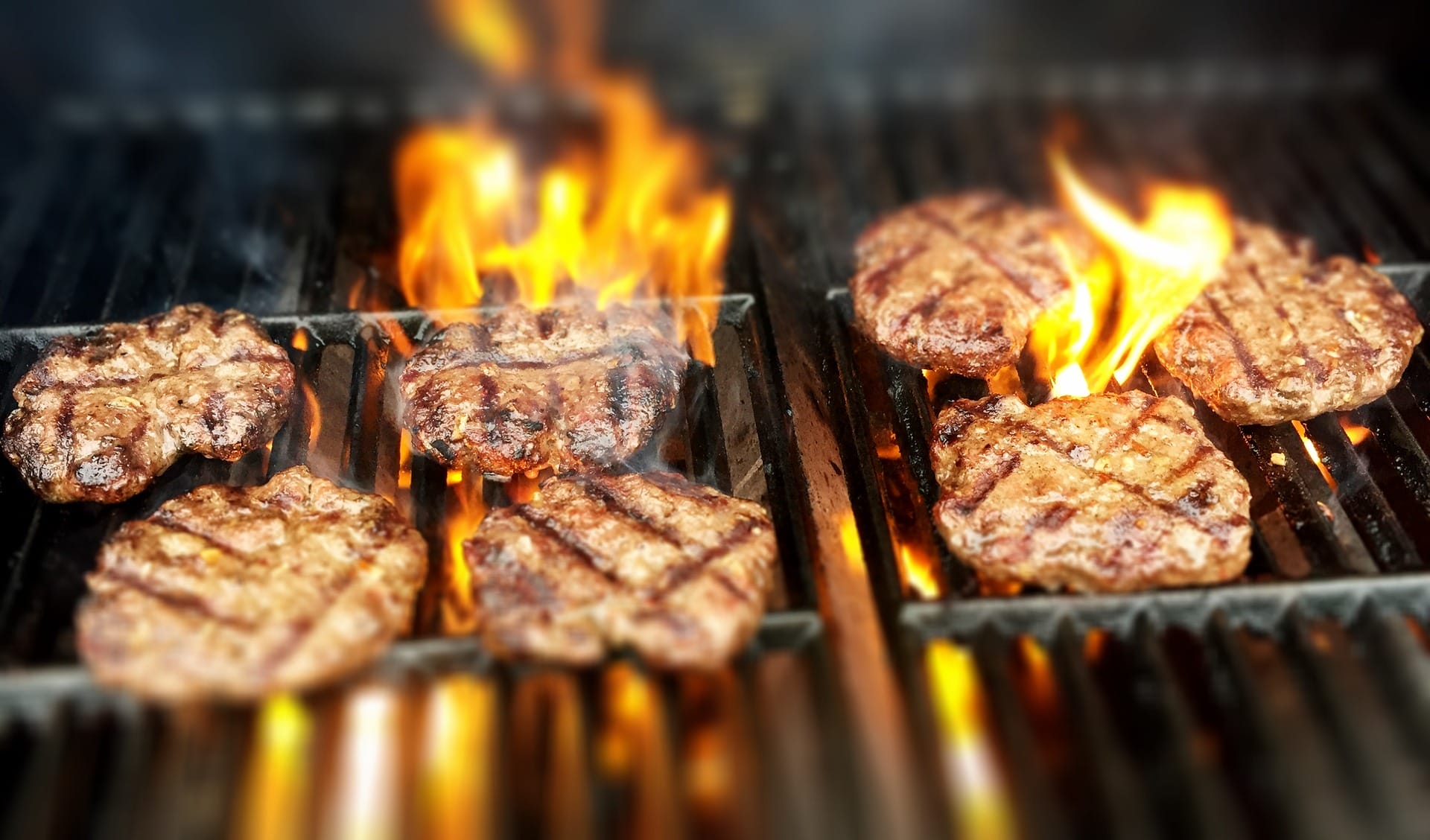 Best Budget-Friendly Eateries in North York
