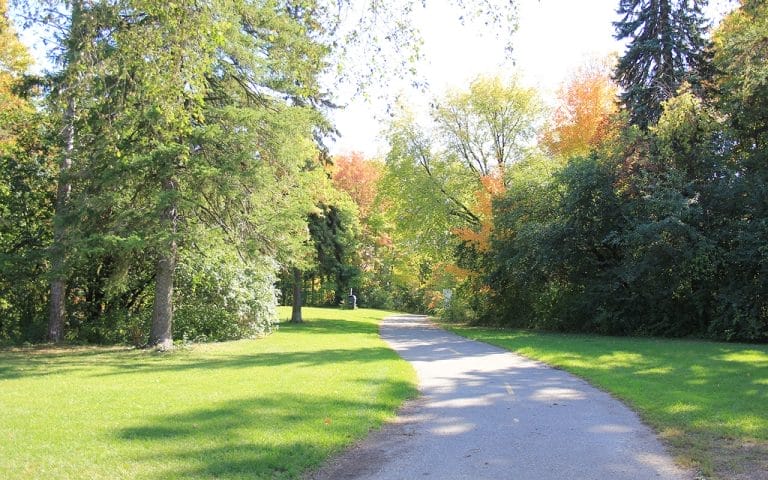 10+ Best Parks to Have Picnics in Toronto (Ontario)