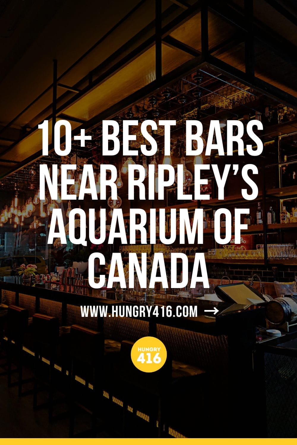 10+ Best Bars Near Ripley's Aquarium of Canada