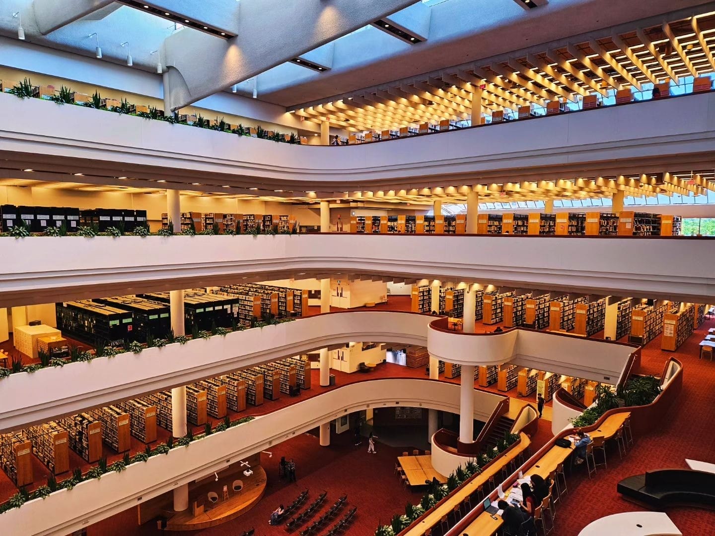 Best Public Libraries in Toronto