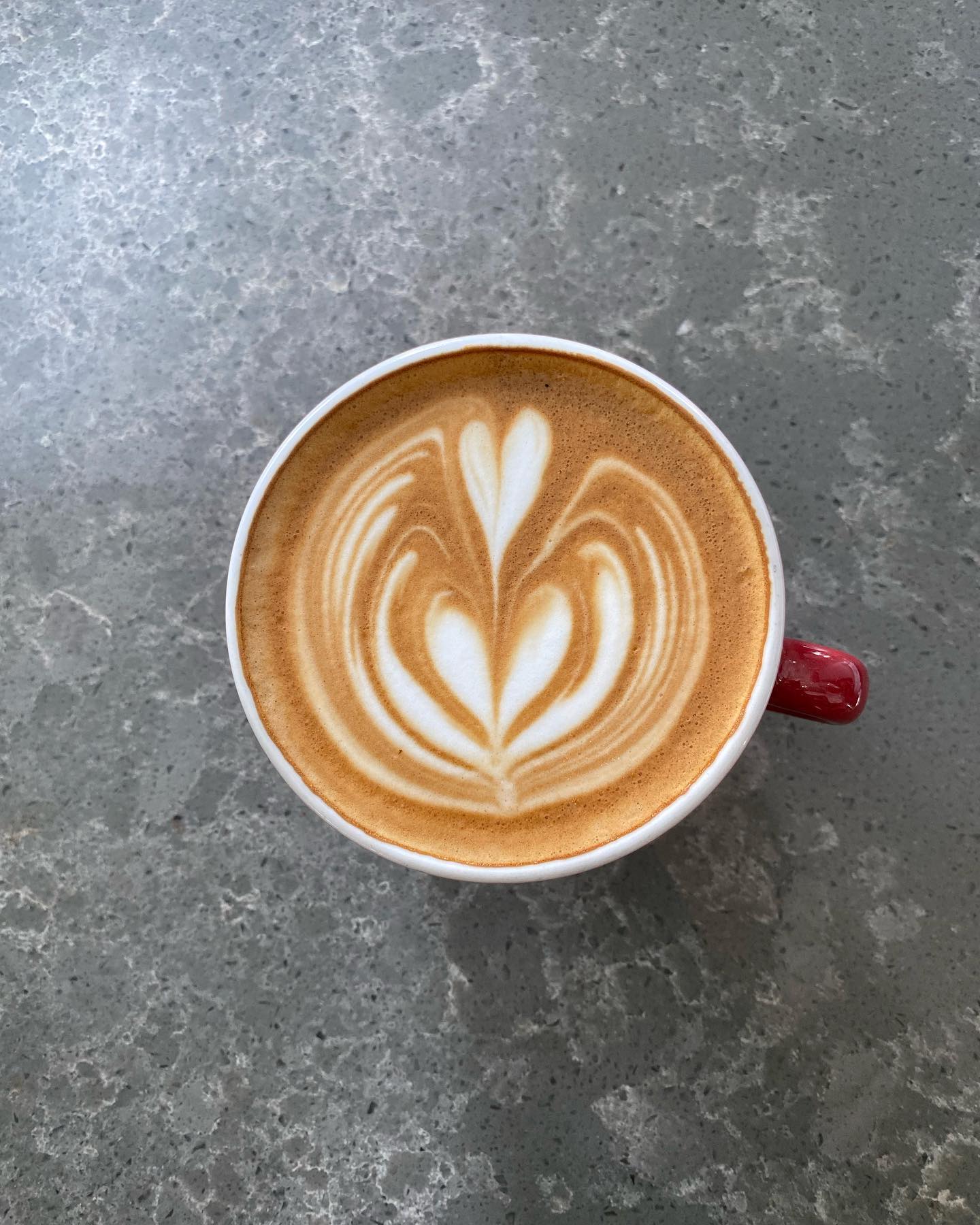Most Unique Cafes in Toronto