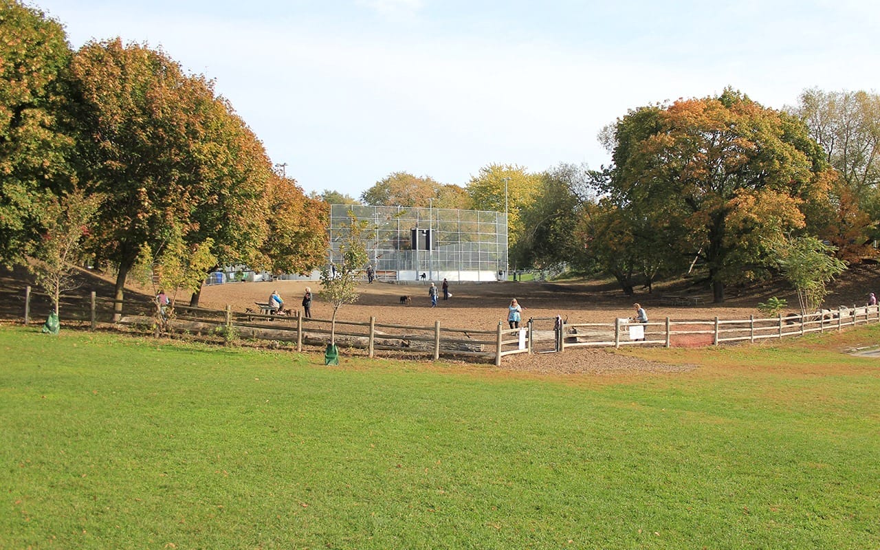 Best Parks to Have Picnics in Toronto
