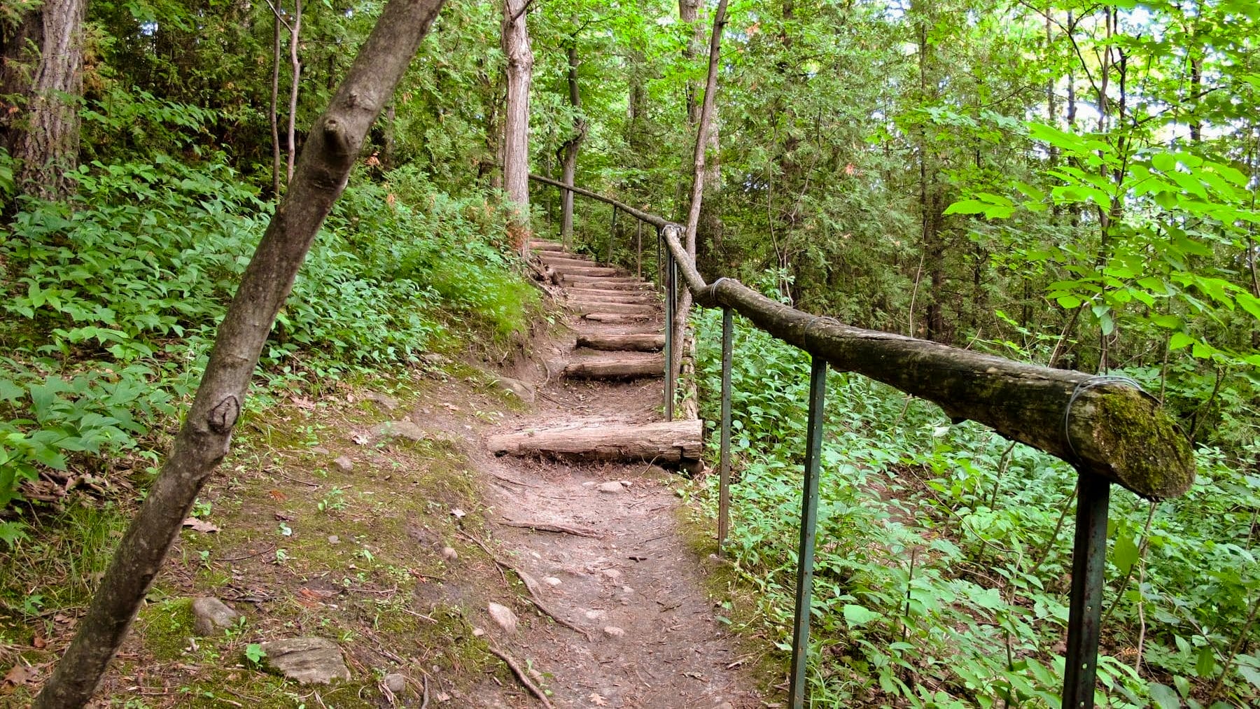 best trails and hikes in Toronto