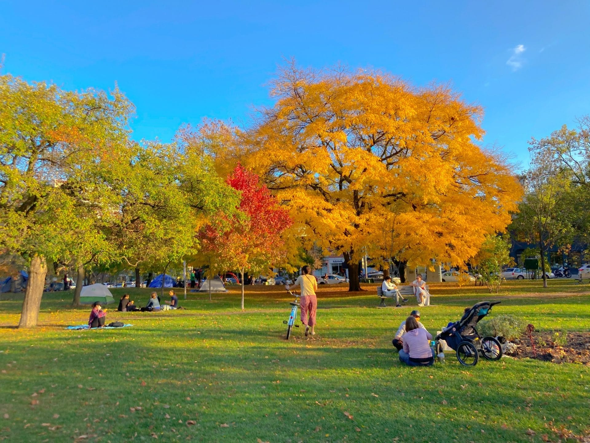Best Outdoor Activities in Toronto