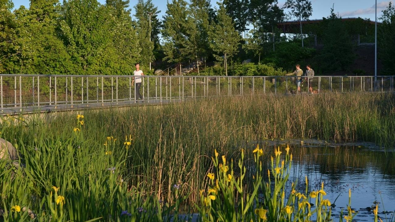 Best Parks to Have Picnics in Toronto