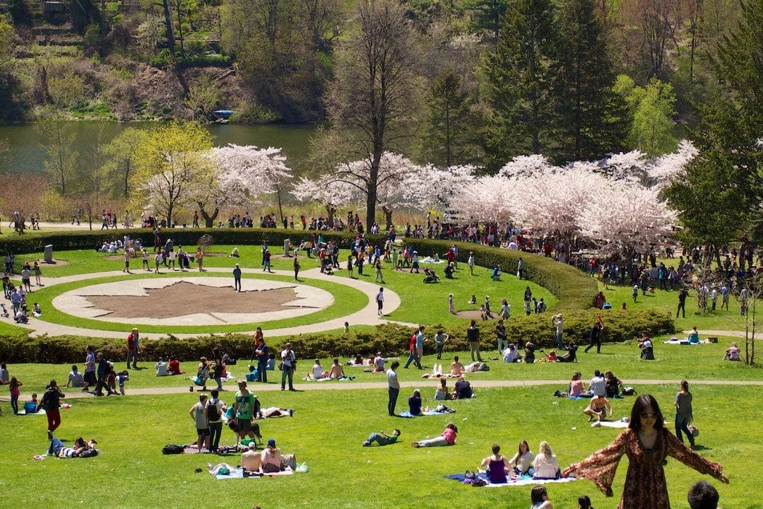 High Park