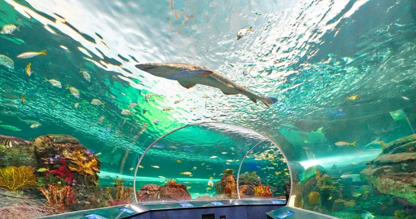 Ripley's Aquarium of Canada