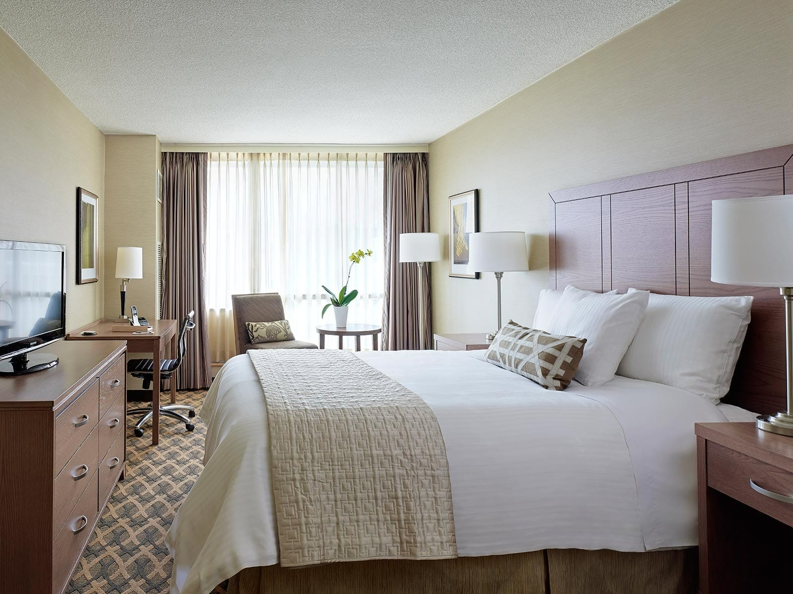 best budget-friendly hotels in Toronto