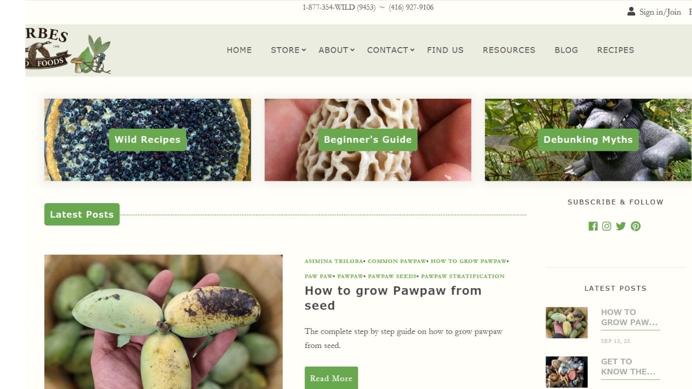 Forbes Wild Food Blog Best Food Bloggers and Influencers in Toronto & Ontario