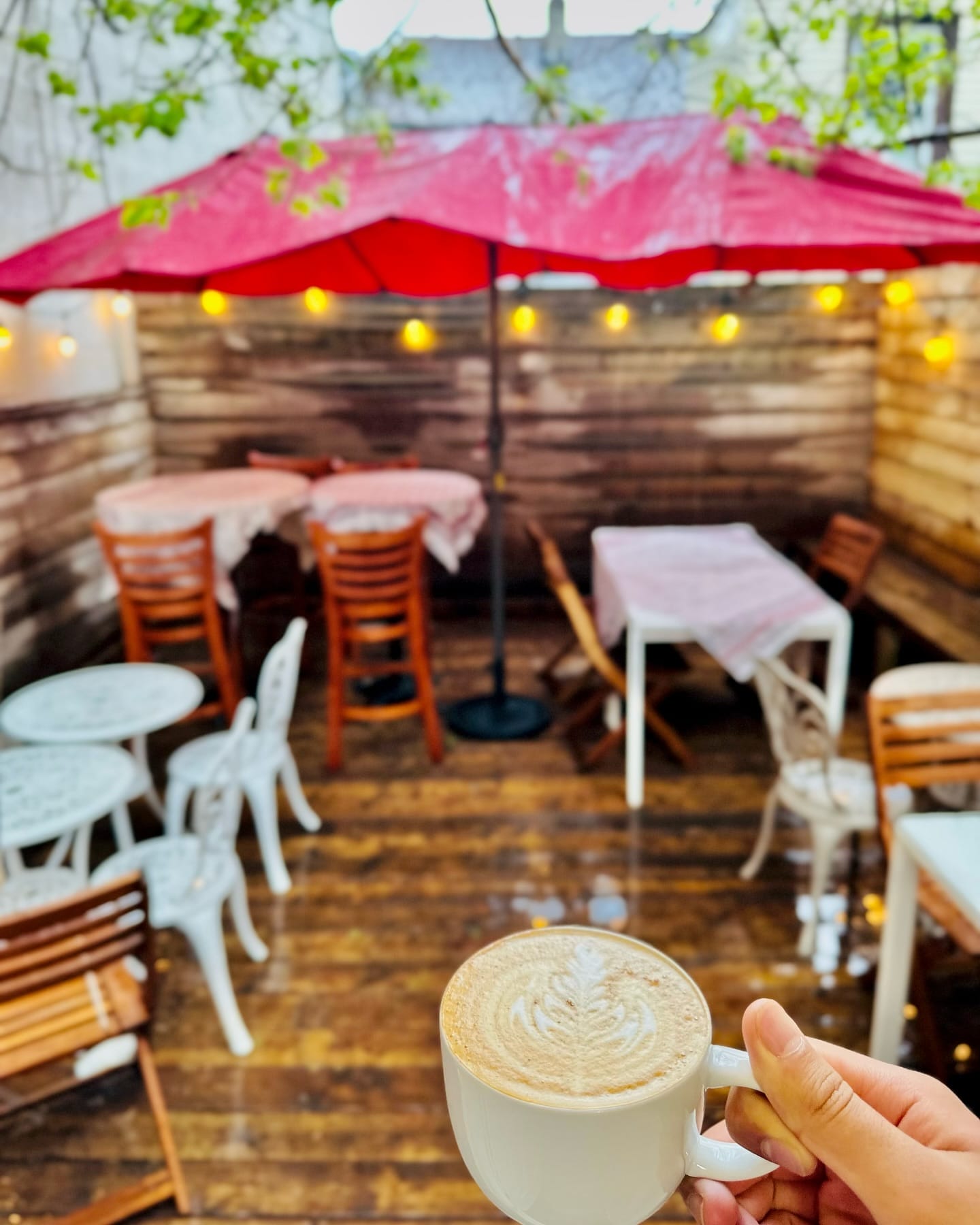 Best Cafe Patios in Toronto
