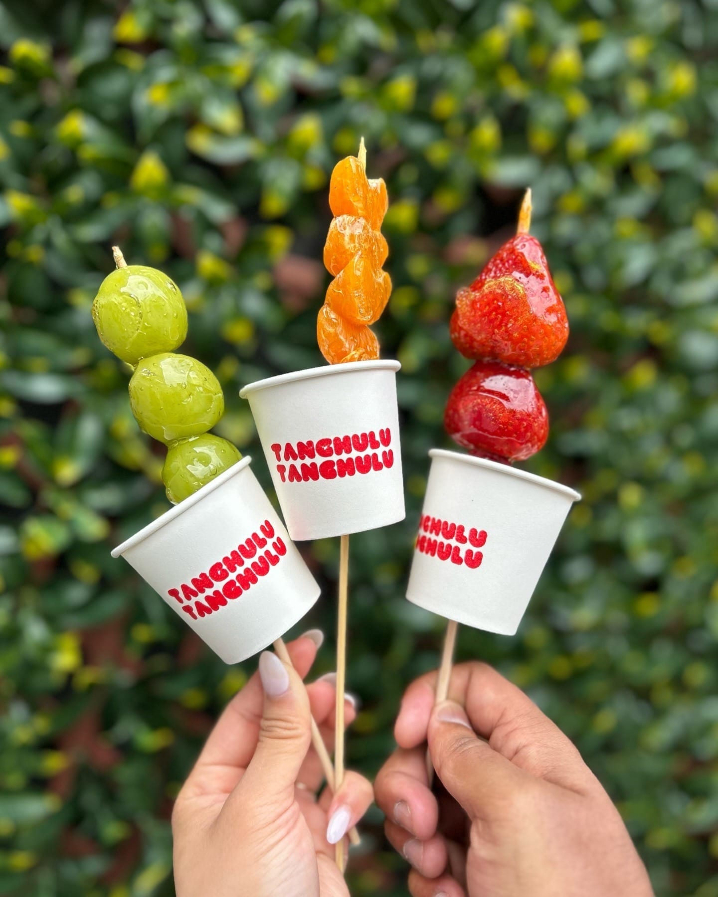 new restaurants in North York
