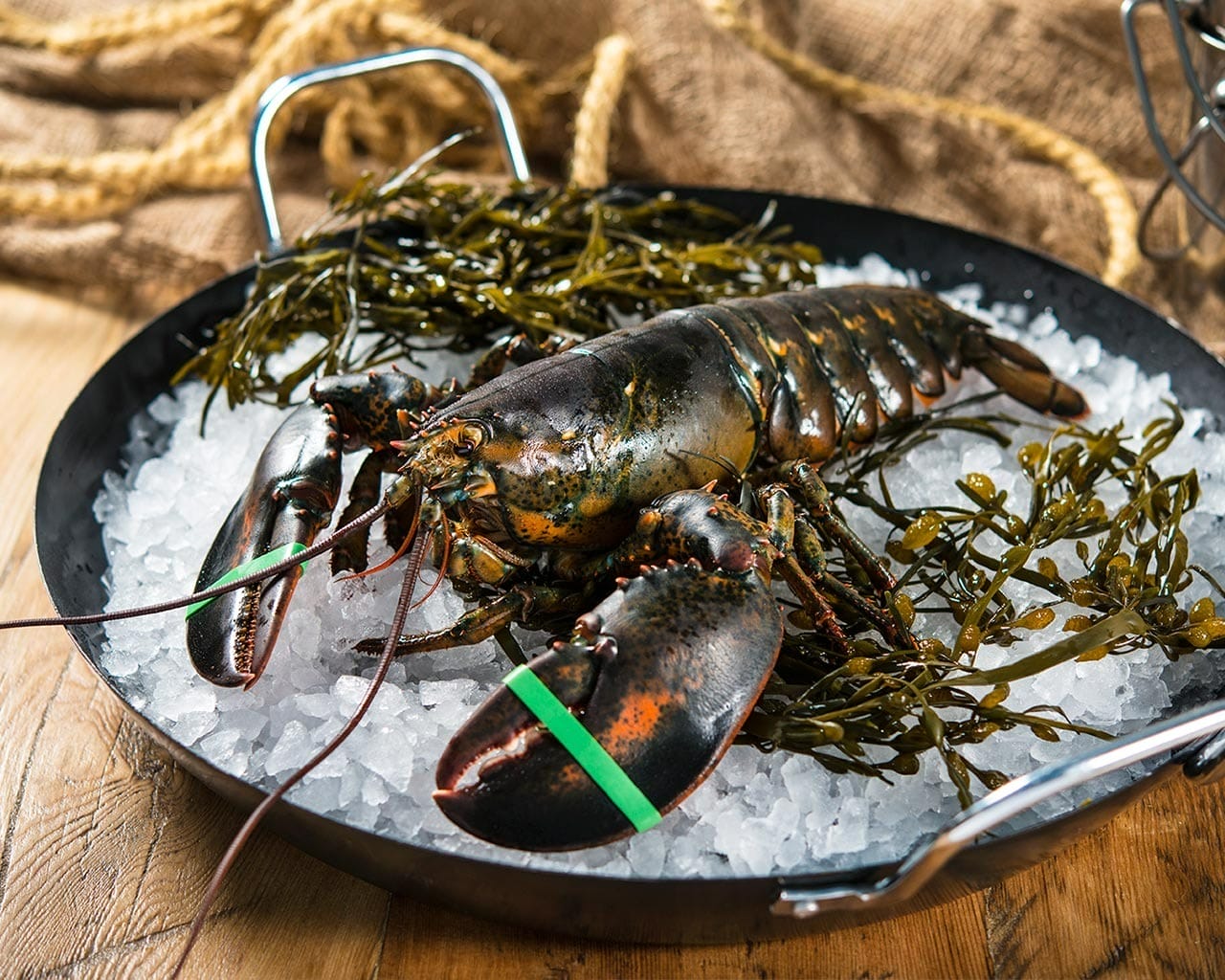 Best Lobsters in Toronto