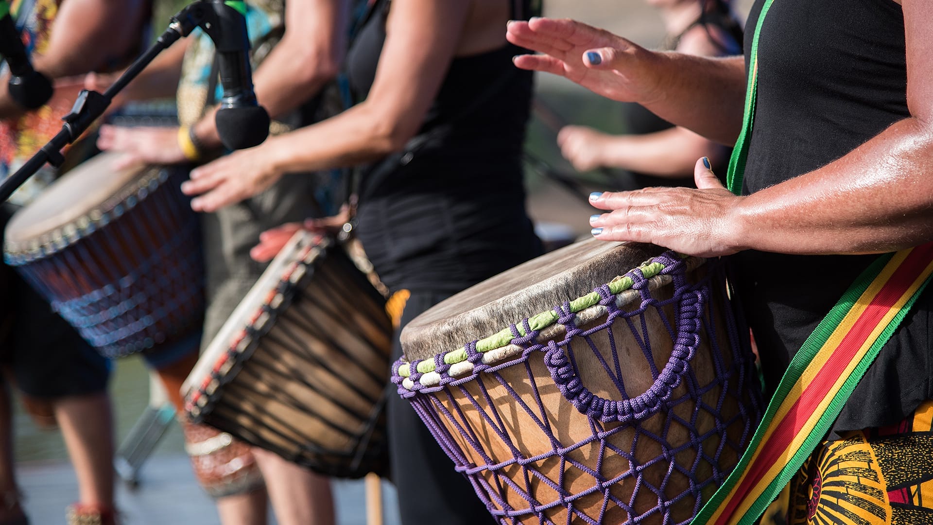 Things to Do in Toronto This Week