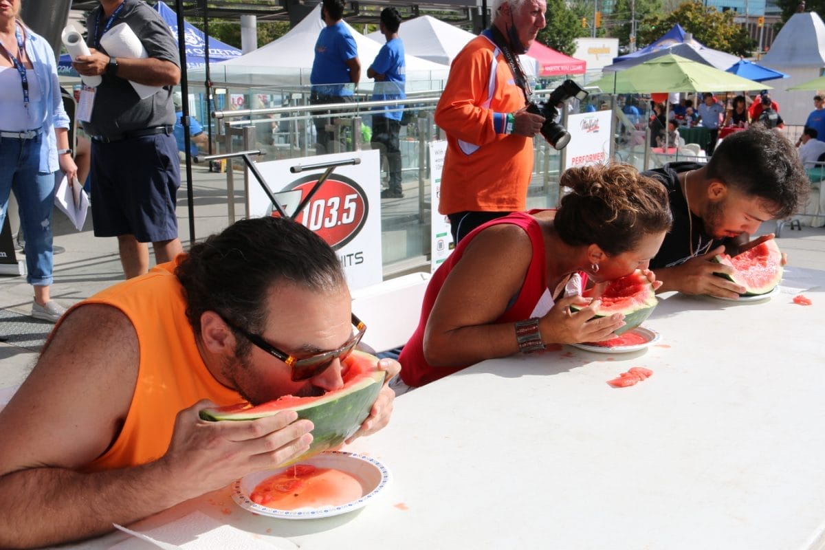 12th Annual Mississauga Italfest 