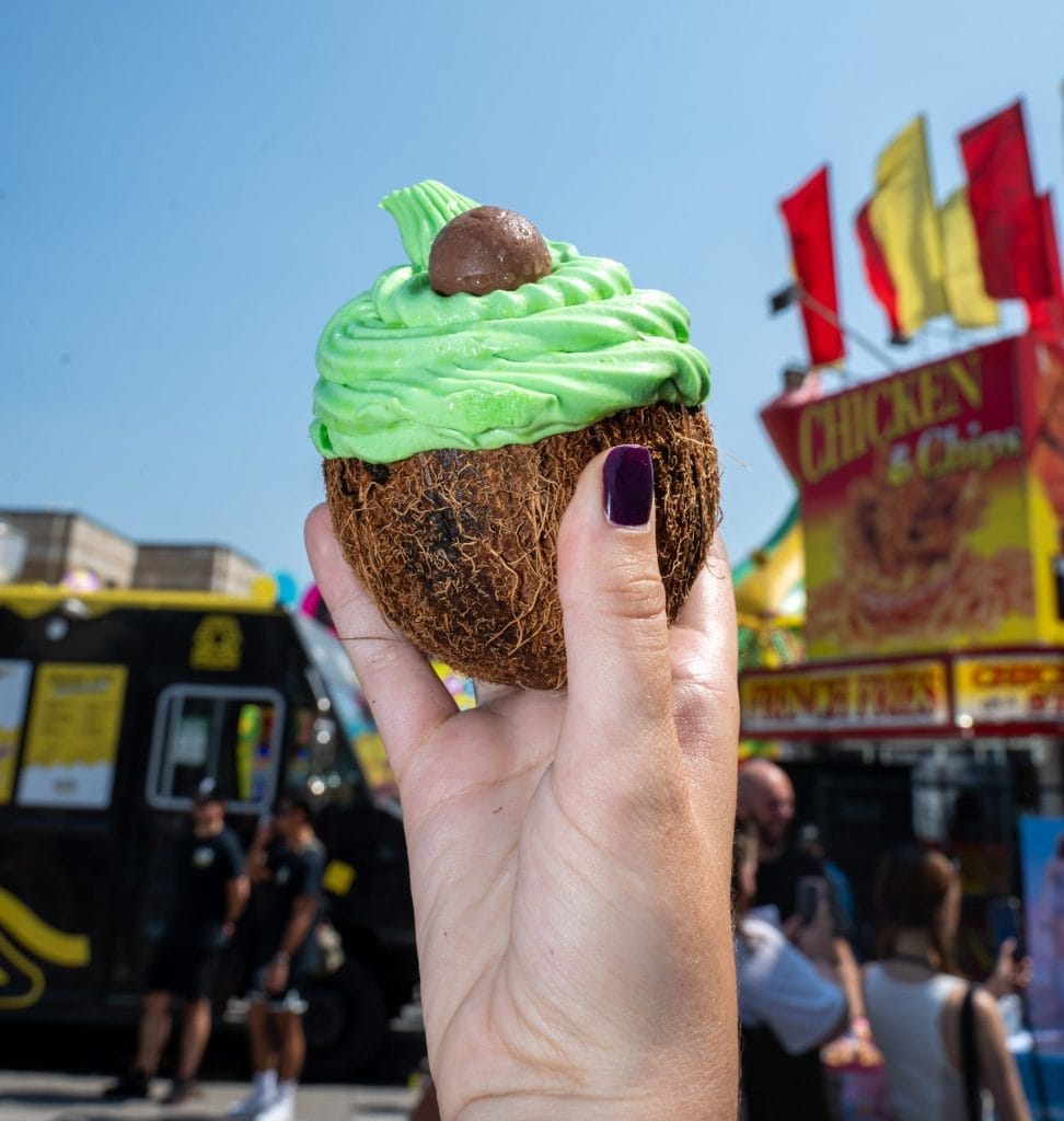 Avocado Coconut Ice Cream CNE FOOD