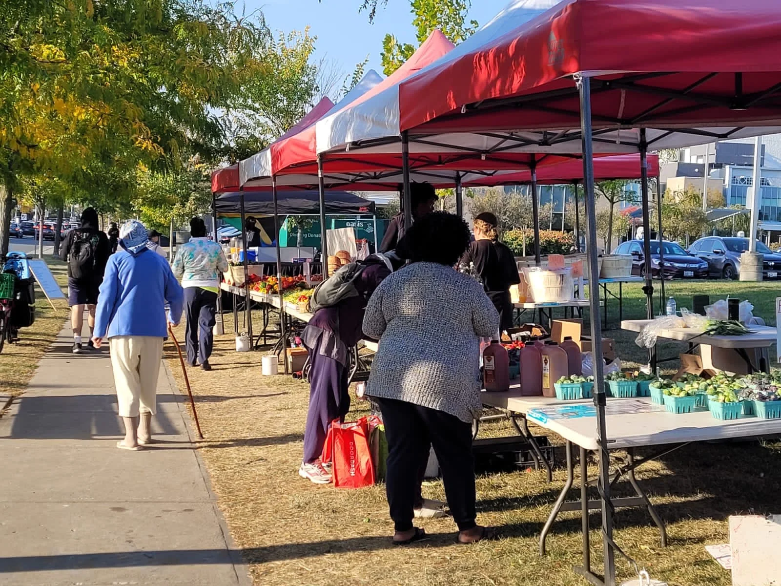 Things to Do in Toronto This Week