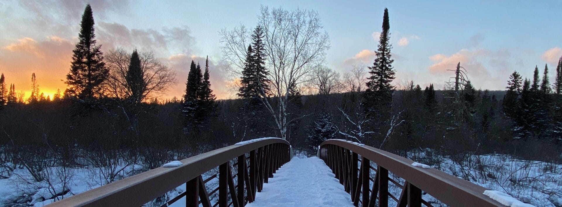 Algonquin Provincial Park Best Winter Getaways Near Toronto for Your Weekend Escapes