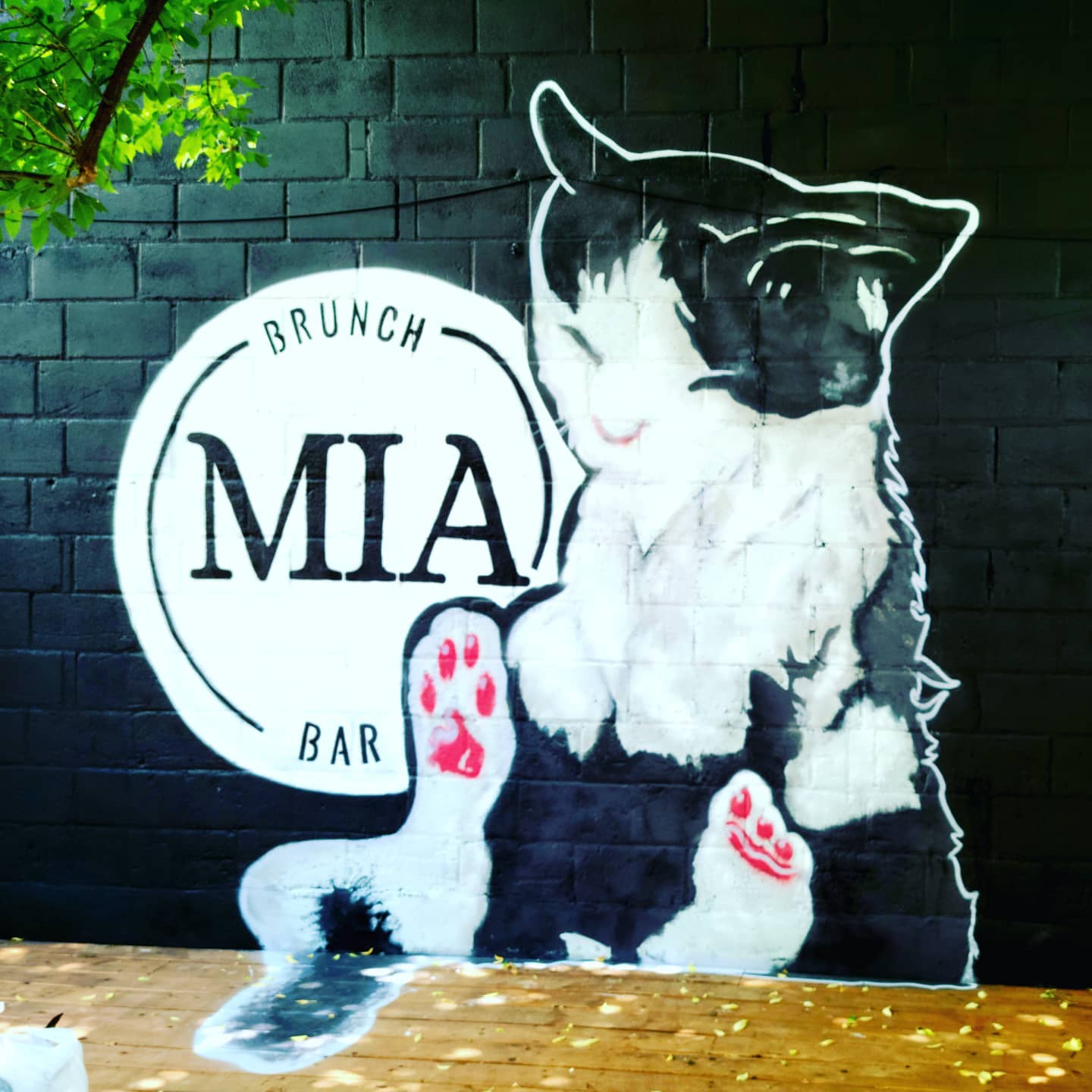 Mia Brunch Bar Cheap Brunch Spots in Toronto