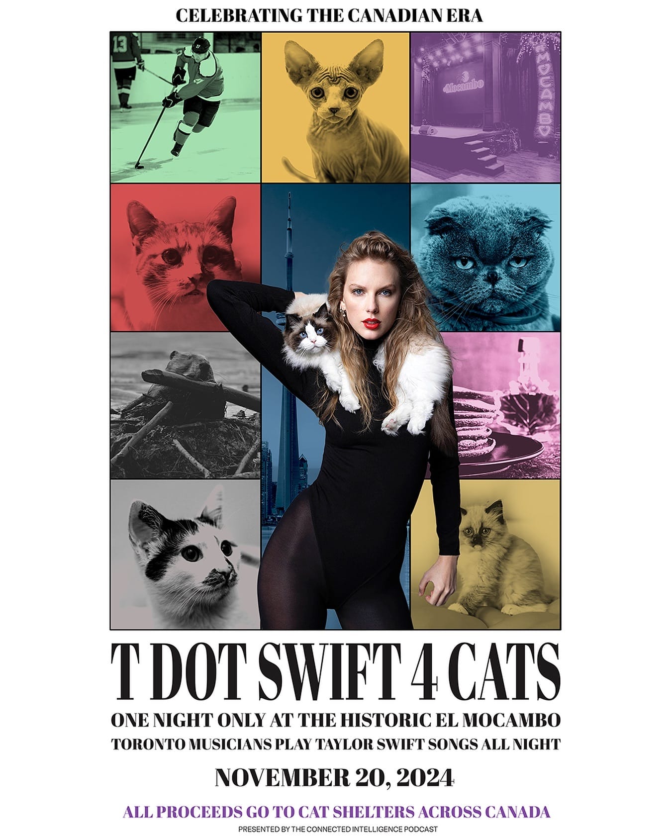 T Dot Swift 4 Cats