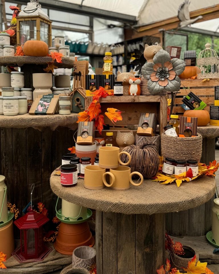 Fall into Fun at Anga’s Farm Annual Fair