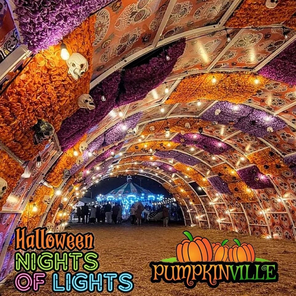 Halloween Nights of Lights What To Do This Week in Toronto (October 21 to 27)