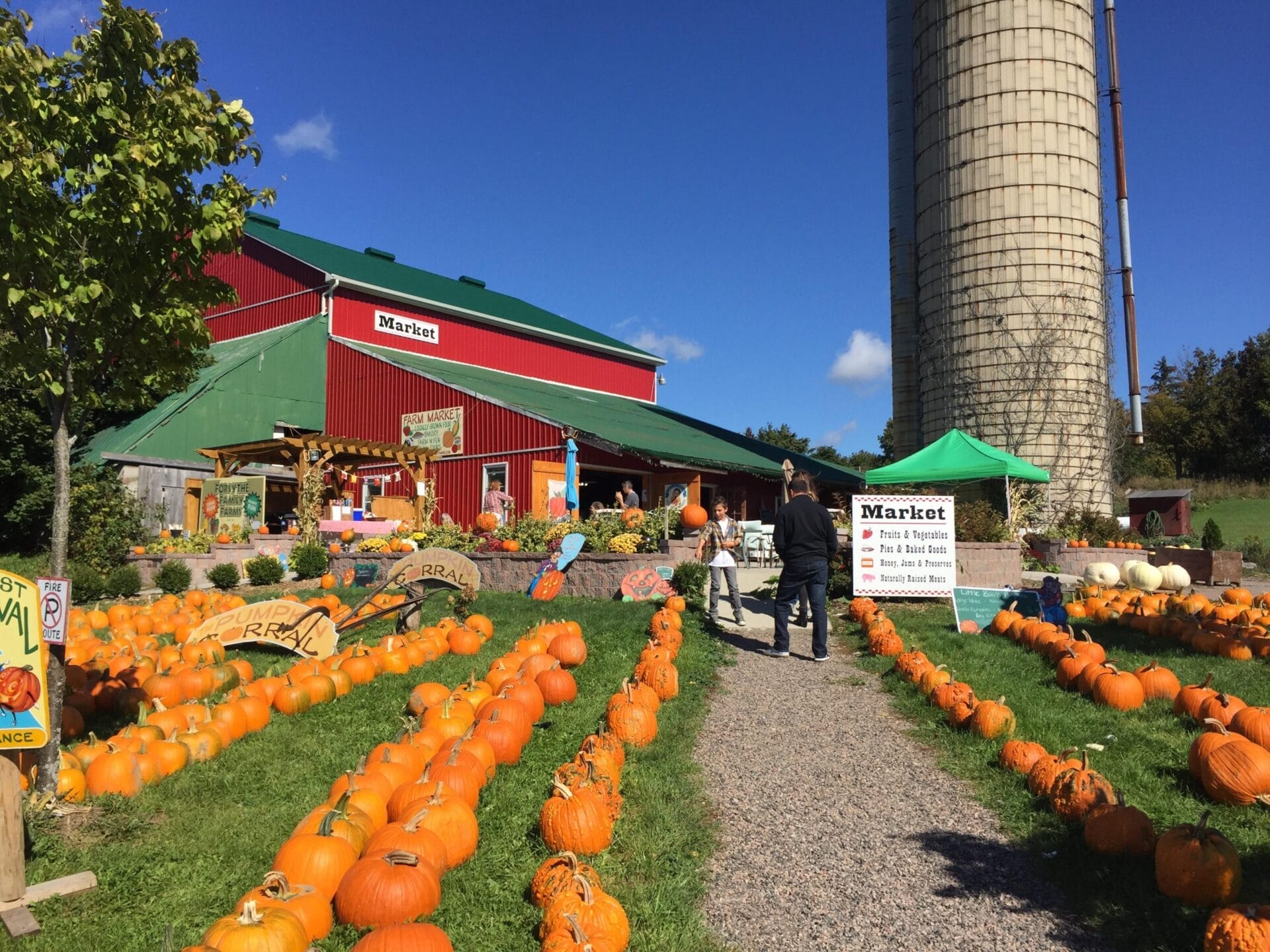 Forsythe Family Farms The Best Pumpkin Patches in Toronto & Nearby