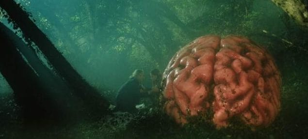 Tiff 2024 Rumours Movie Trailer Hungry 416