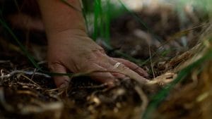 A close-up shot shows a hand gently touching the earth, surrounded by grass, emphasizing a deep connection to nature. The soft lighting and natural textures create a calming and meditative atmosphere, reflecting the film’s themes of tradition and cultural heritage.