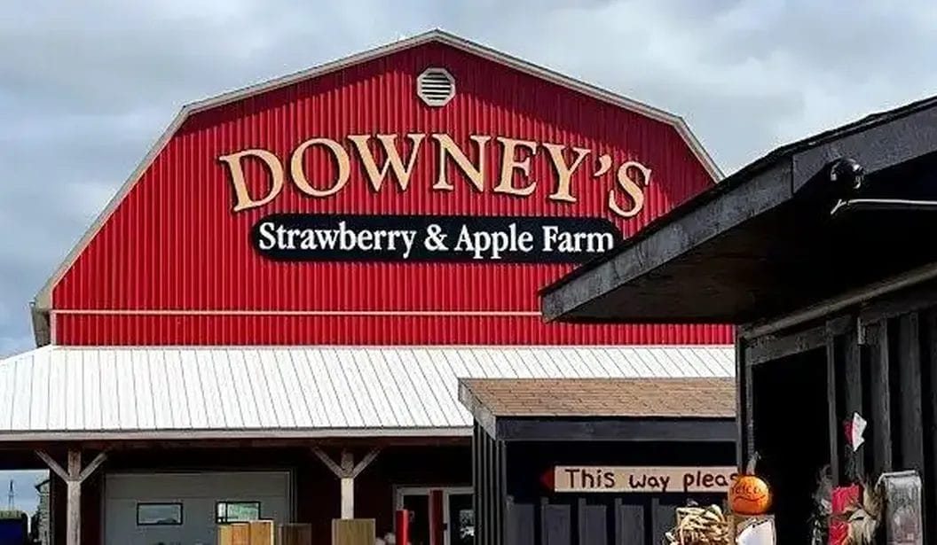 Go Apple Picking at Downey’s Farm