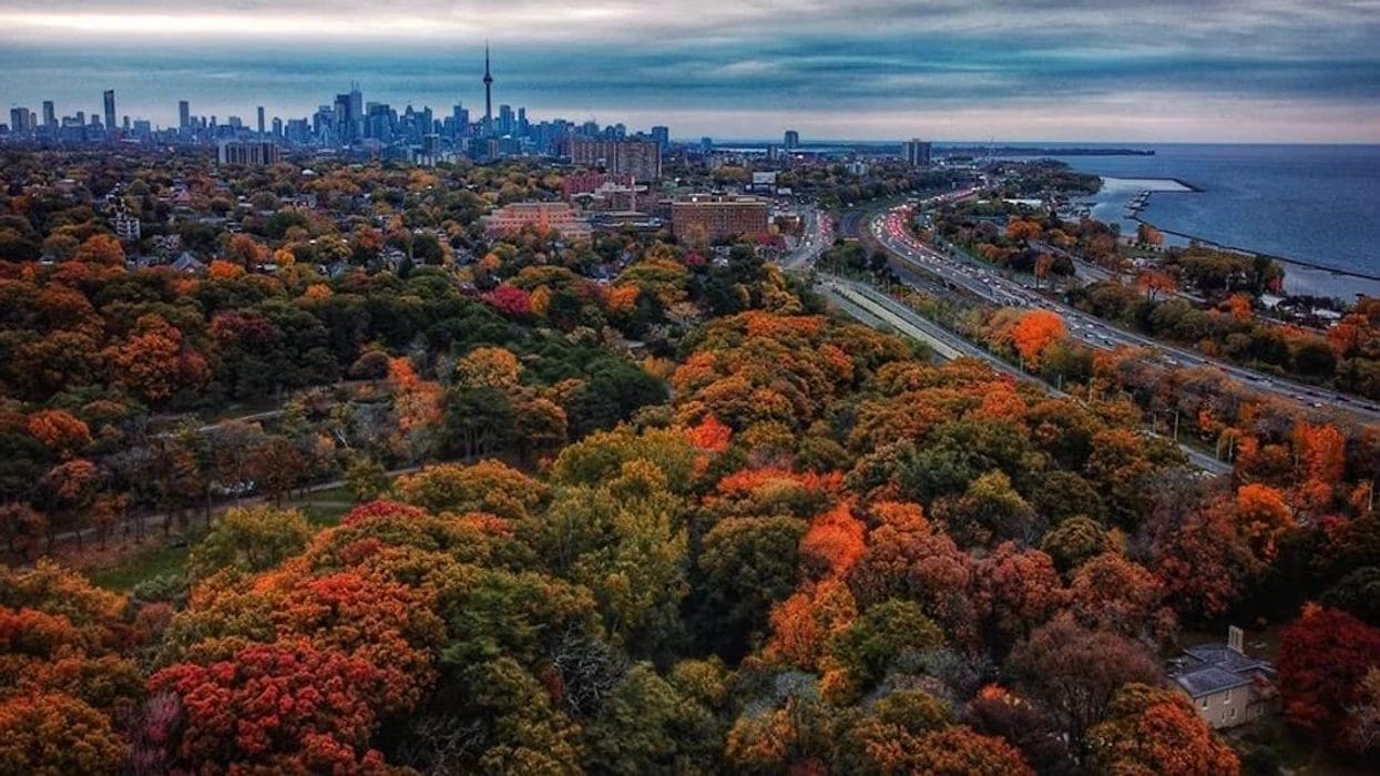 Fall Foliage at High Park