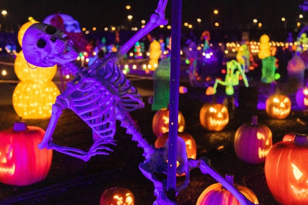 2024 Toronto Halloween Show: Decorations