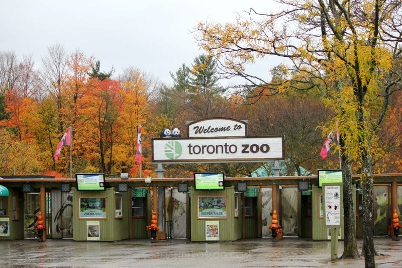 Toronto Zoo, travel, Toronto