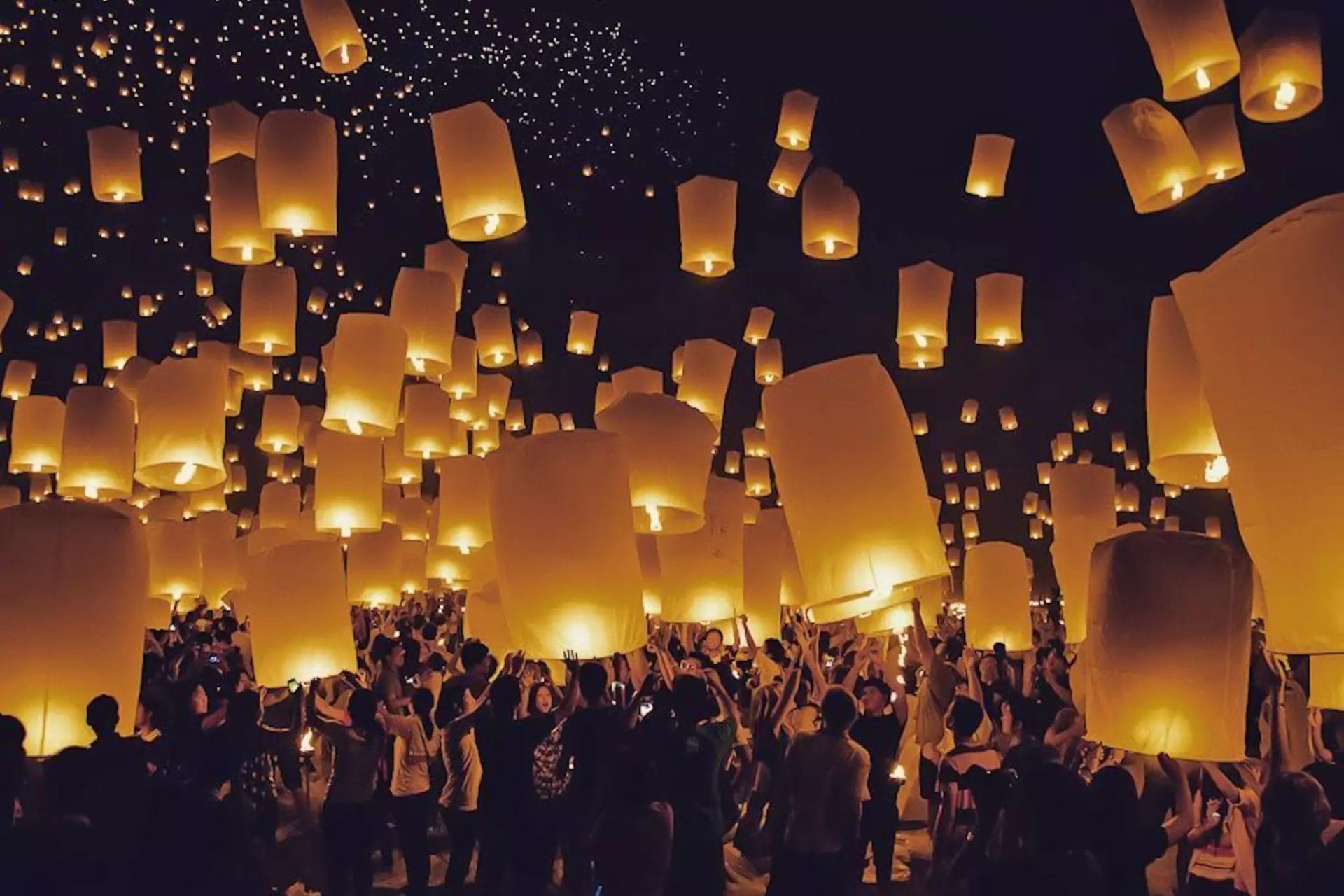 The Lights Festival October 2024
