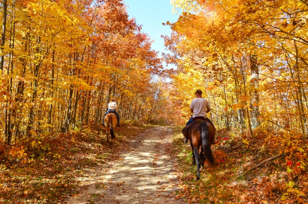 Horseback riding tour in Ontario at The Ranch October 2024