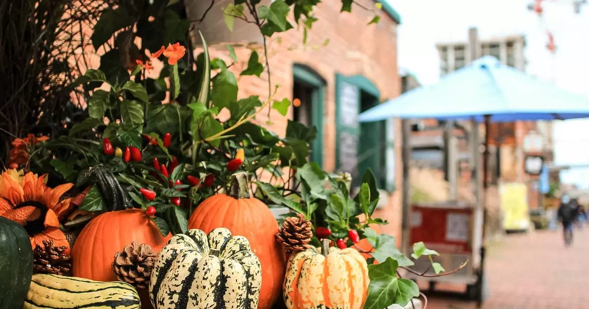 The Distillery Fall Market October 2024