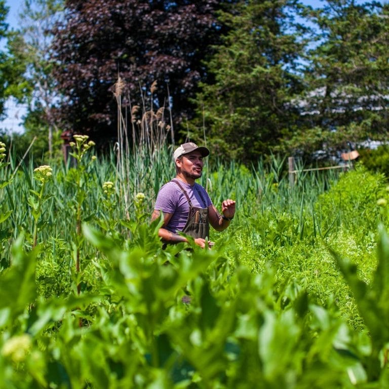 Rediscover First Nations Flavours at the Indigenous Food Lab