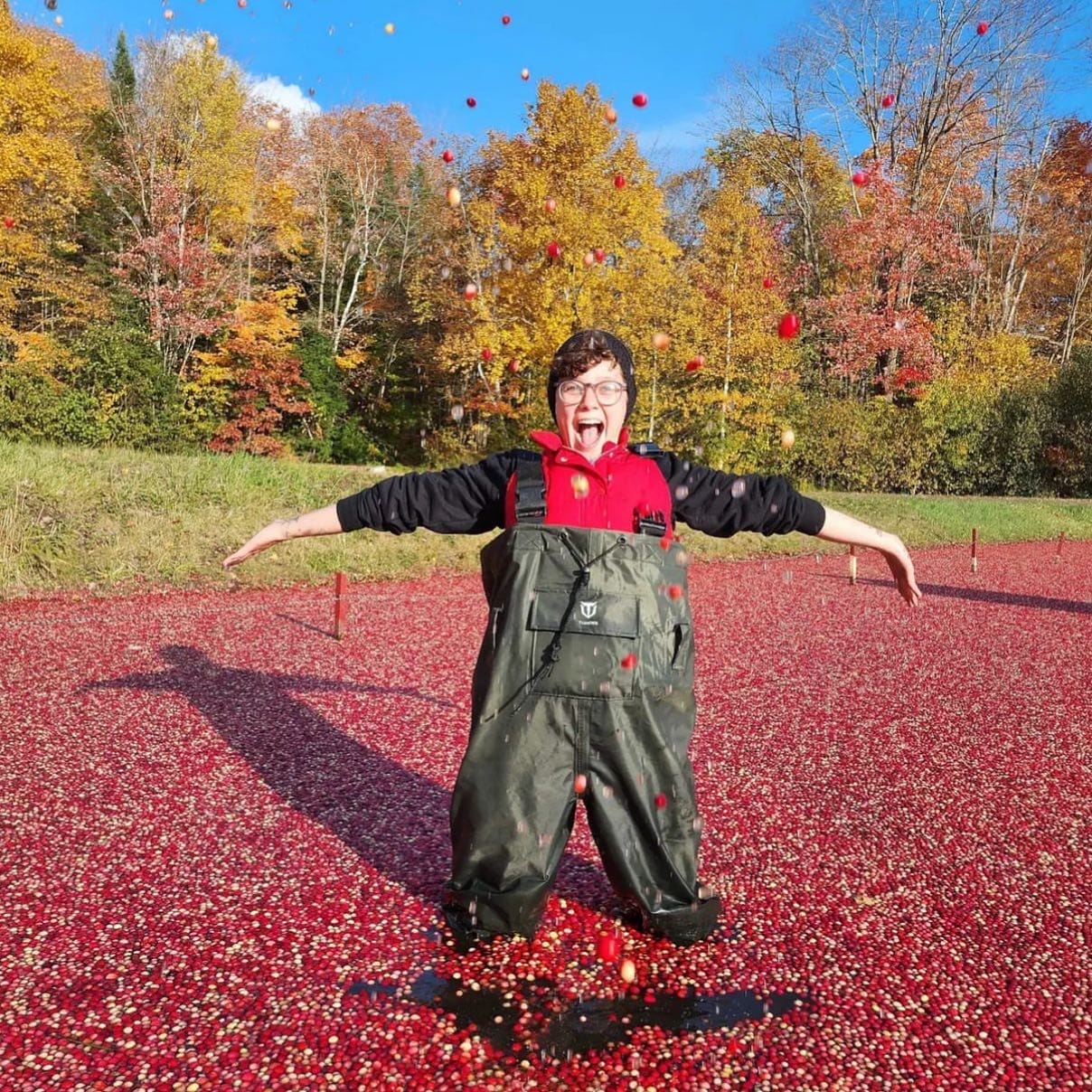Cranberry Harvest Events in Toronto 2024