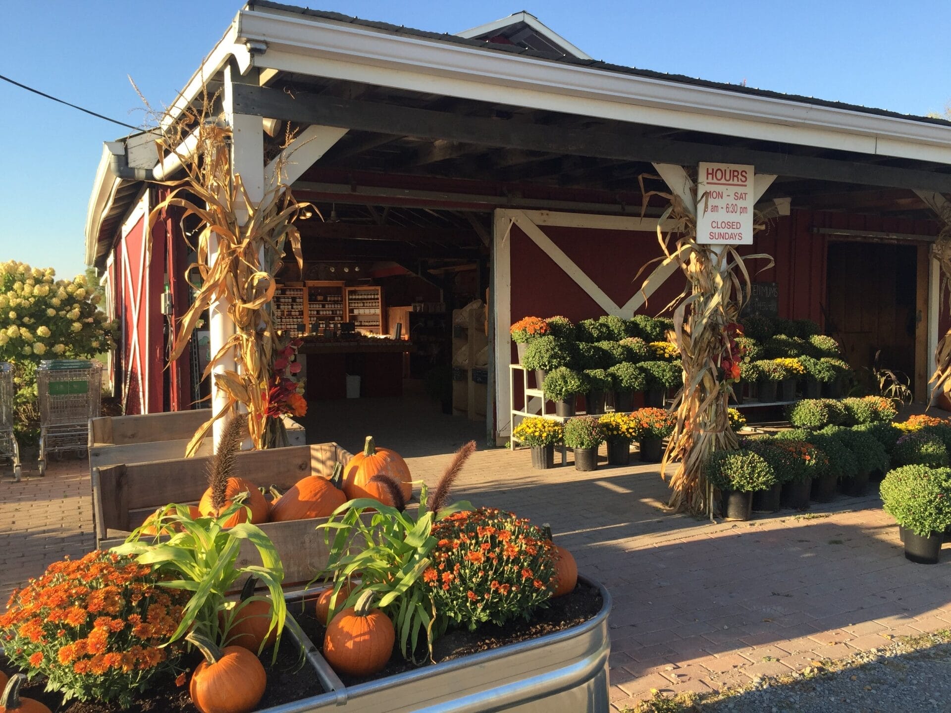 Reesor’s Farm Market The Best Pumpkin Patches in Toronto & Nearby