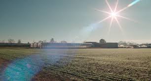 Revolving Rounds movie tiff 2024