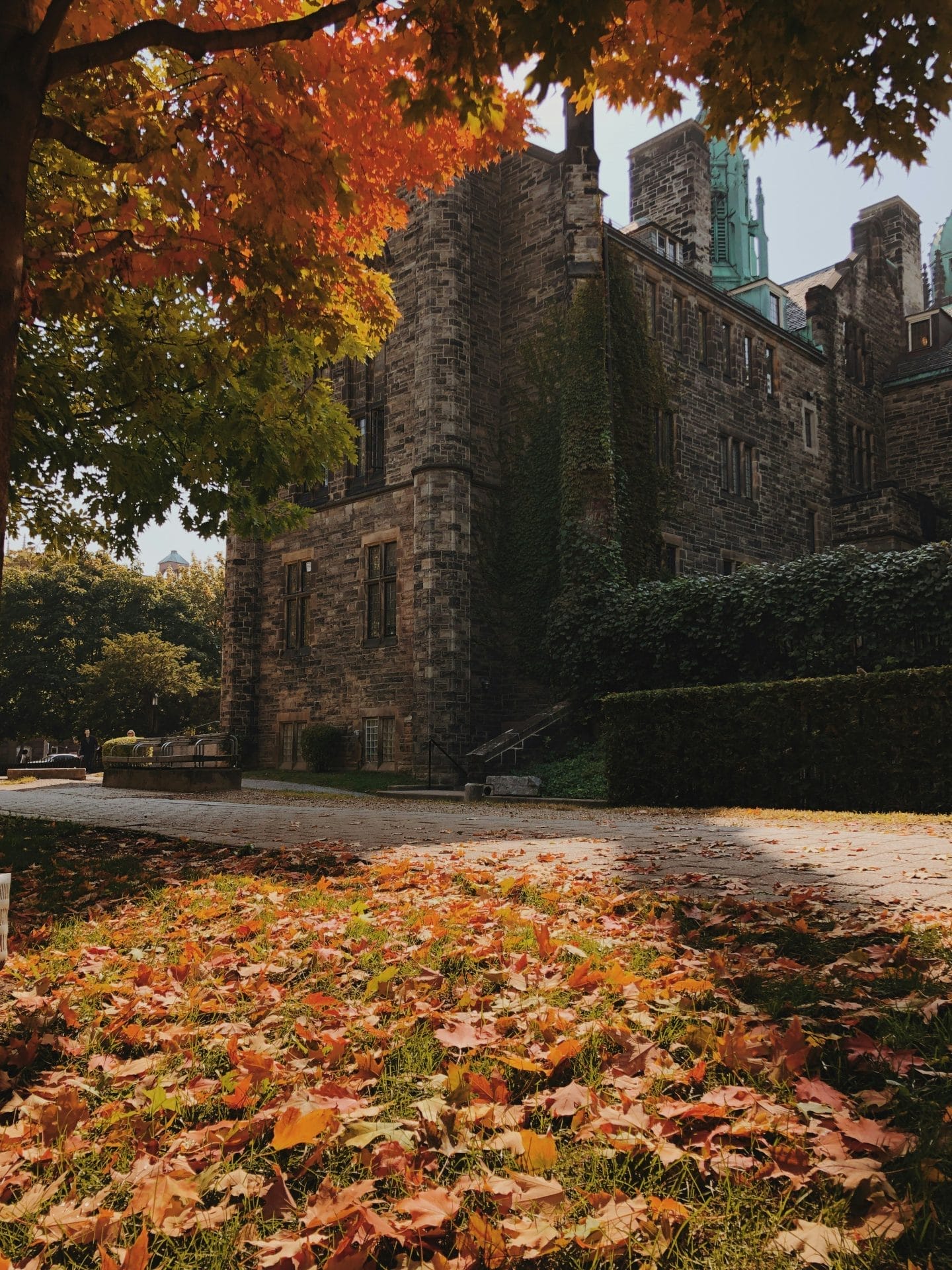 Places in Toronto for Fall Colours Toronto