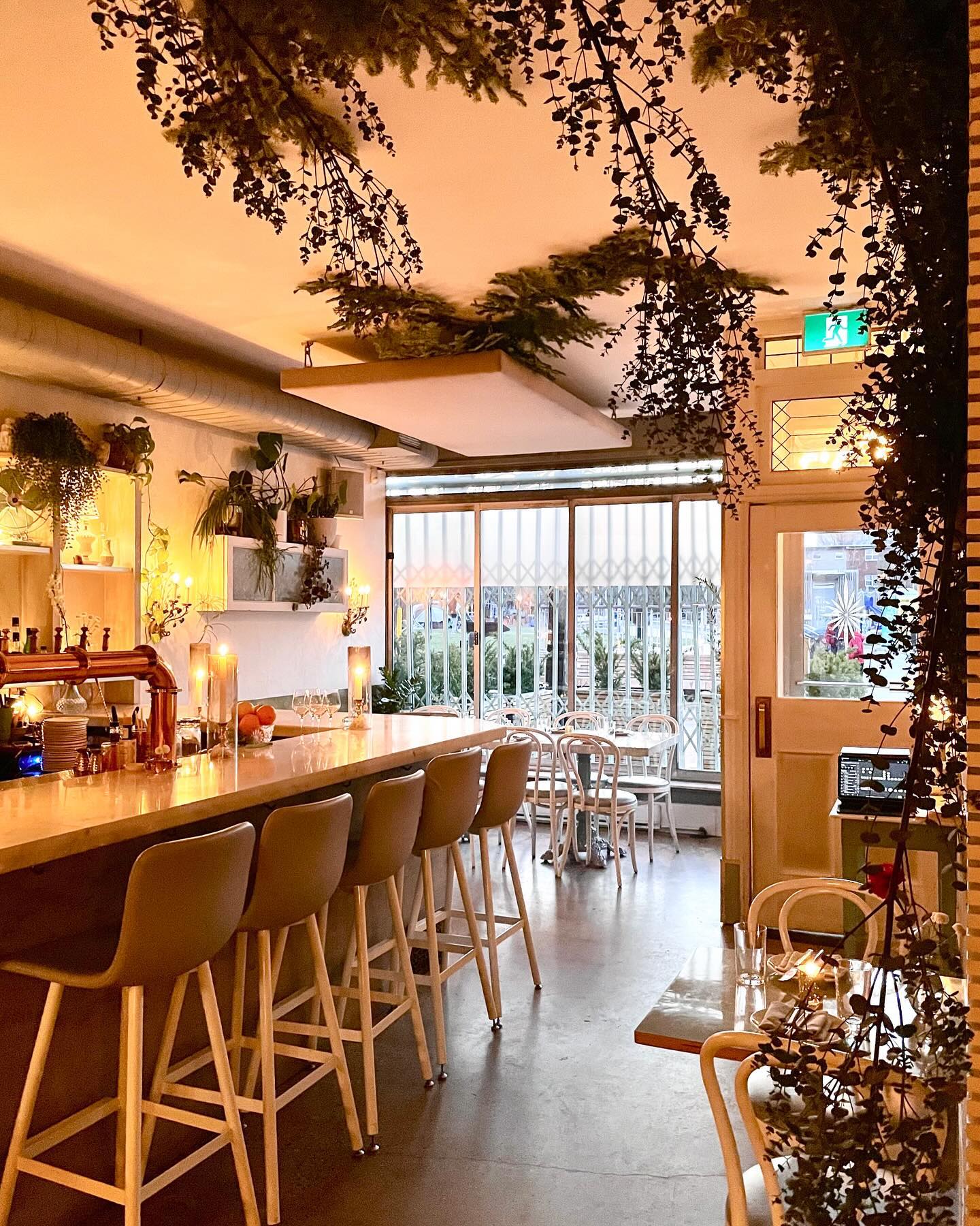 Best Solo Dining Restaurants in Toronto