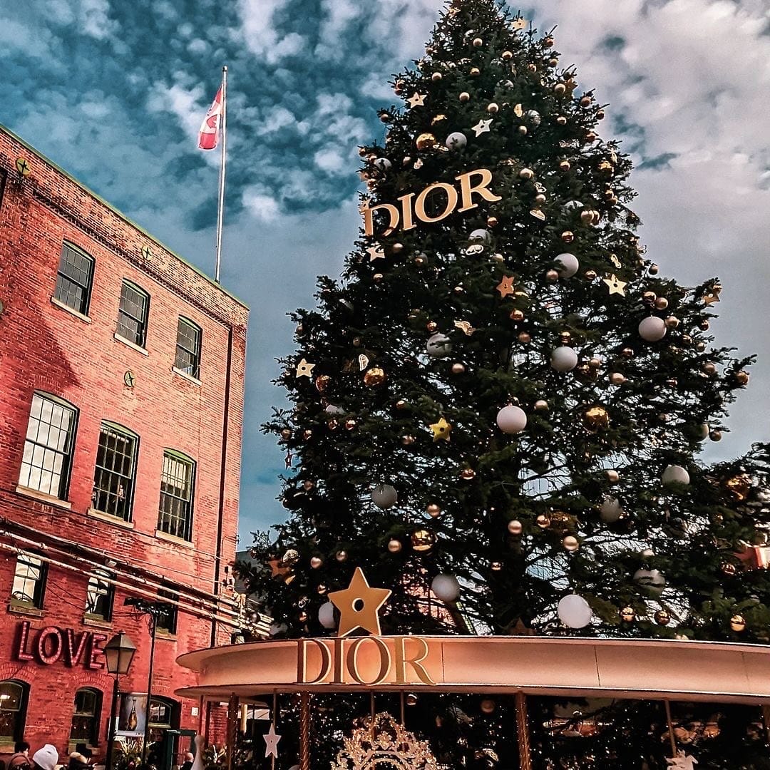 Things To Do This Week (November 25 to December 1)