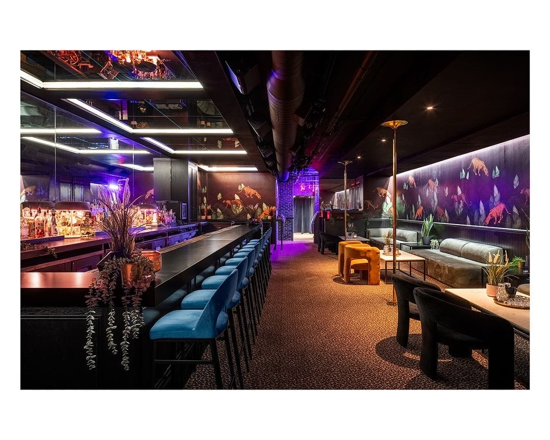 Experience night life at Baby's Cabaret nightclub