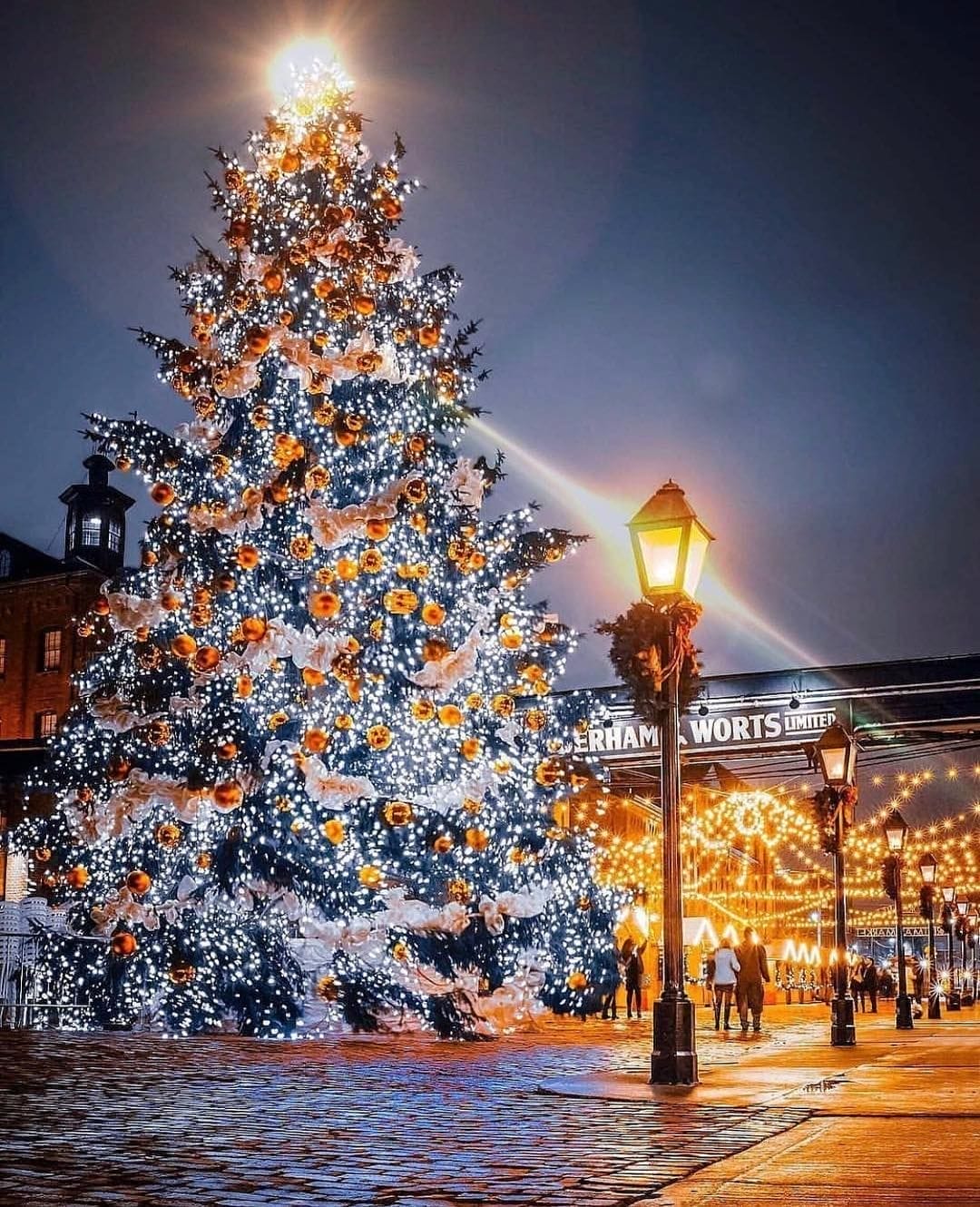 December 2024 Fun: Your Guide to Toronto and Beyond