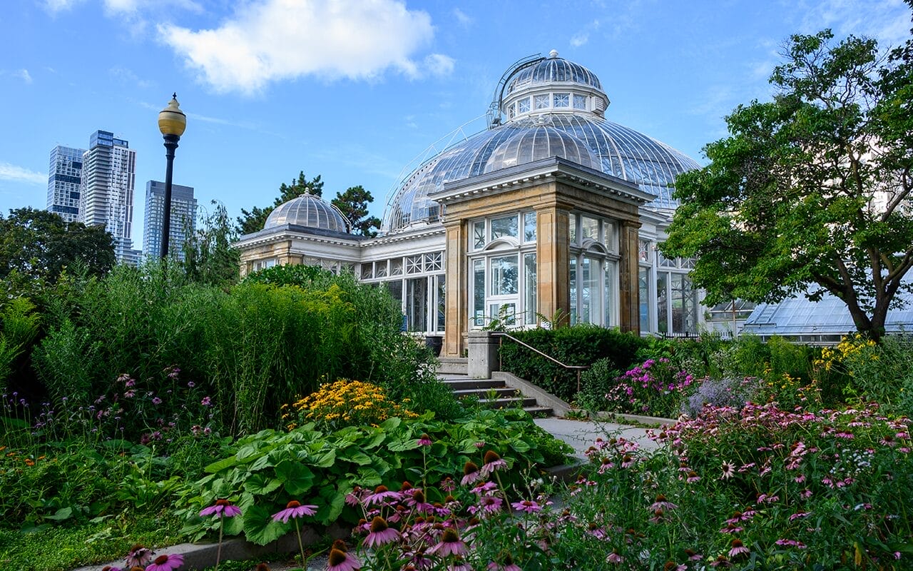 Allan Gardens