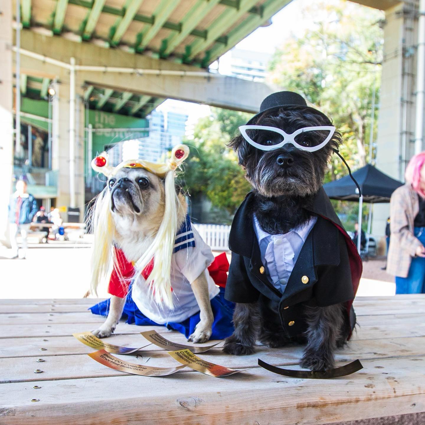 Howl’oween at The Bentway What To Do This Week in Toronto (October 21 to 27)