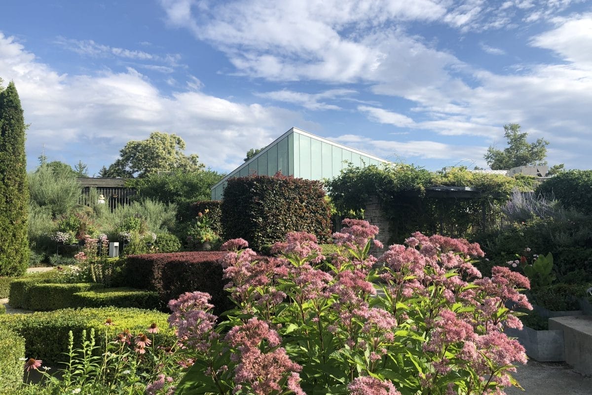 Toronto Botanical Garden