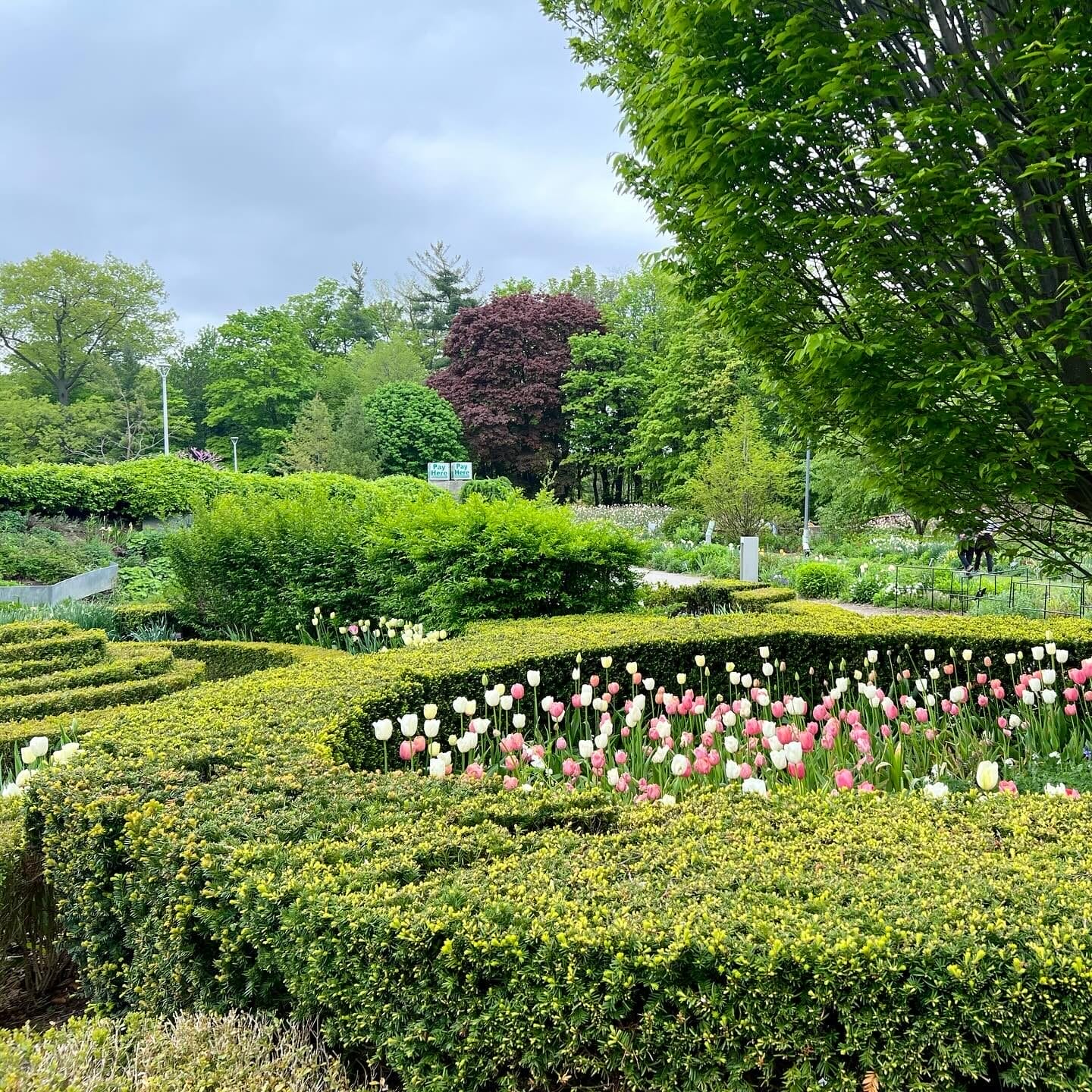 Toronto Botanical Garden